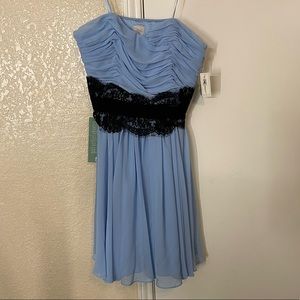 Light Blue Strapless Dress